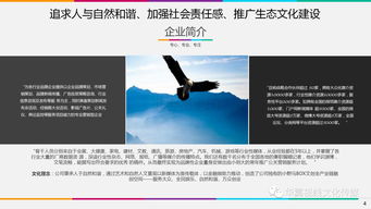 3小時創下7.8億奇跡 奧倫達部落，從劉向陽的夢想走向現實